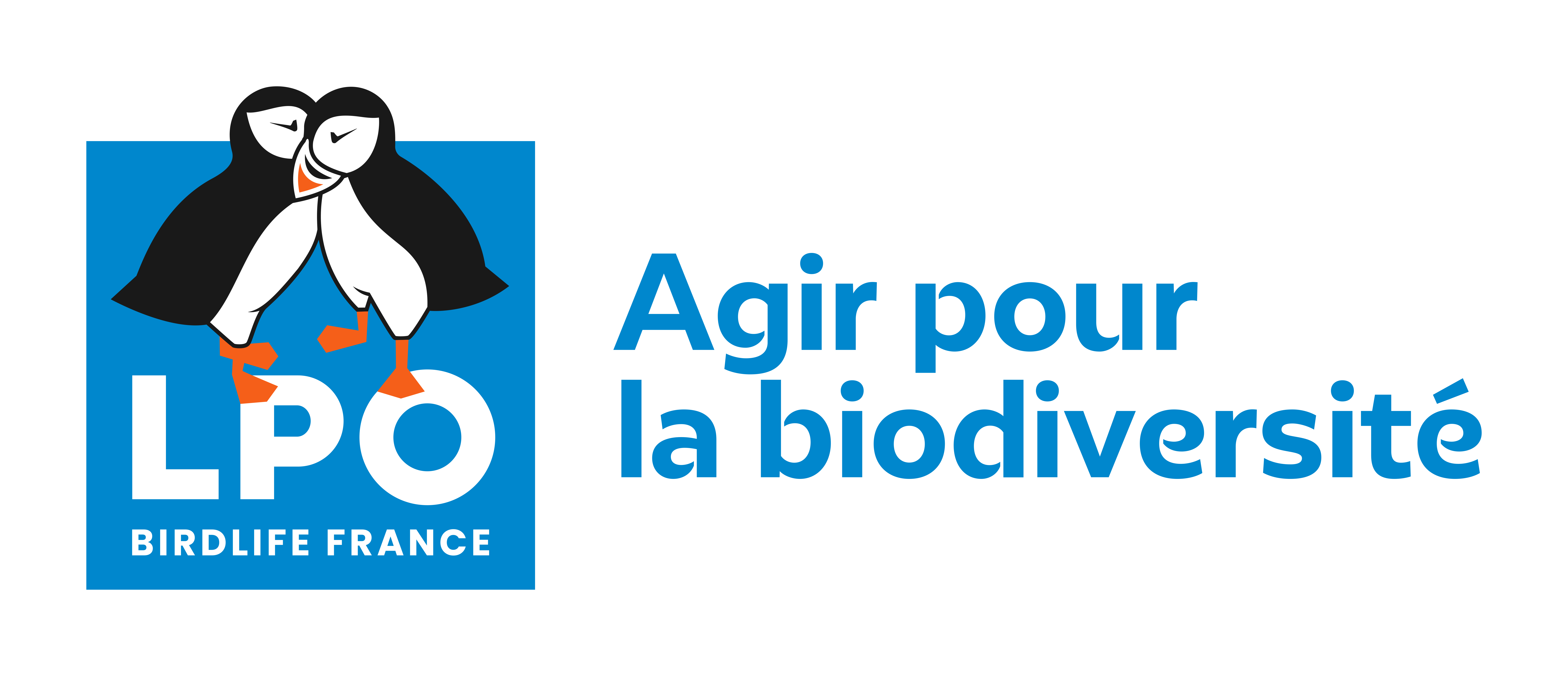 Coccinelle à sept points - LPO (Ligue pour la Protection des Oiseaux) -  Agir pour la biodiversité