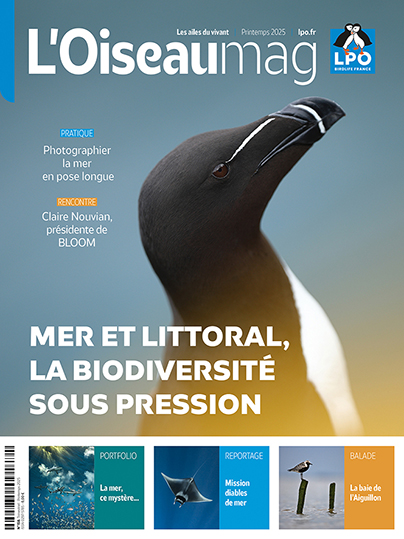 L'OISEAU MAG