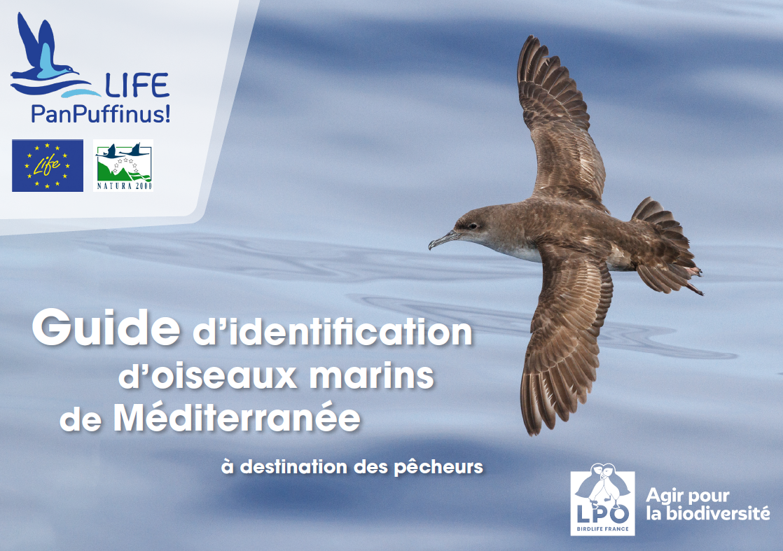 couverture du guide d’identification d’oiseaux marins de Méditerranée à destination des pêcheurs