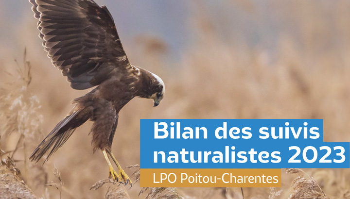 Bilan des suivis naturalistes 2023