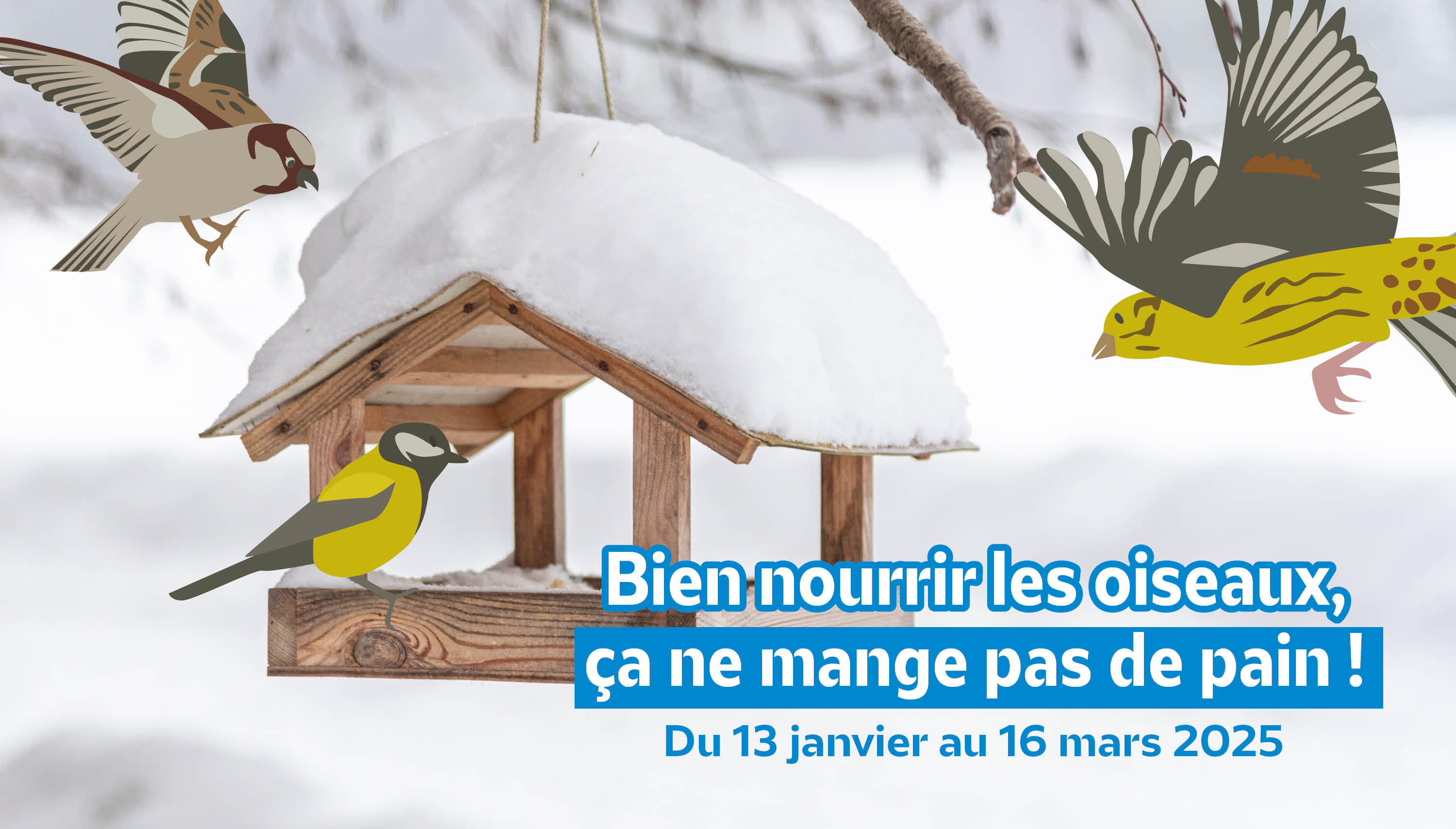 Bien nourrir les oiseaux, ça ne mange pas de pain ! : Le défi