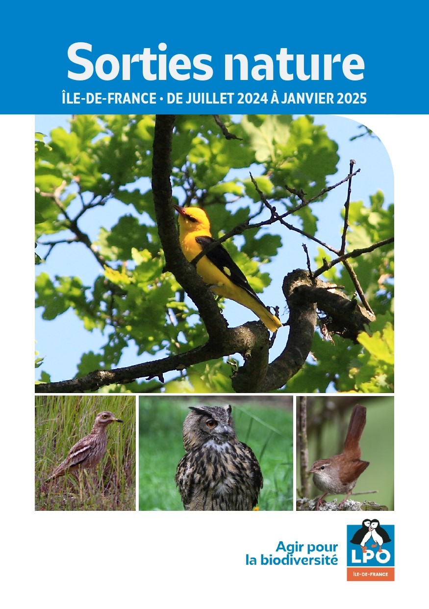 Nouveau programme des sorties nature