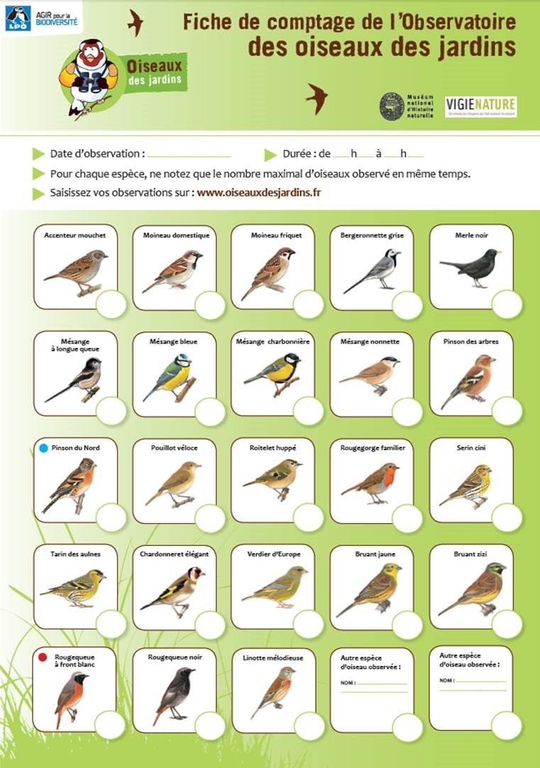 Fiche « observatoire des oiseaux des jardins » (quadrilingue)