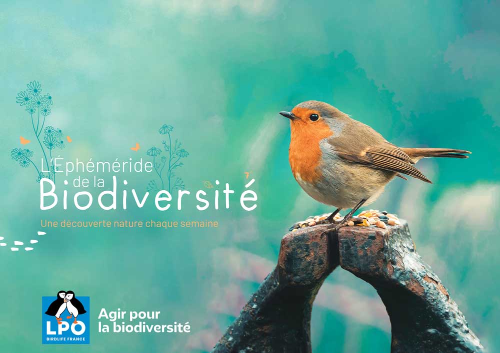 L'Éphéméride de la Biodiversité