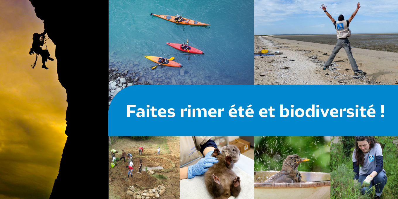 Faites rimer été et biodiversité !