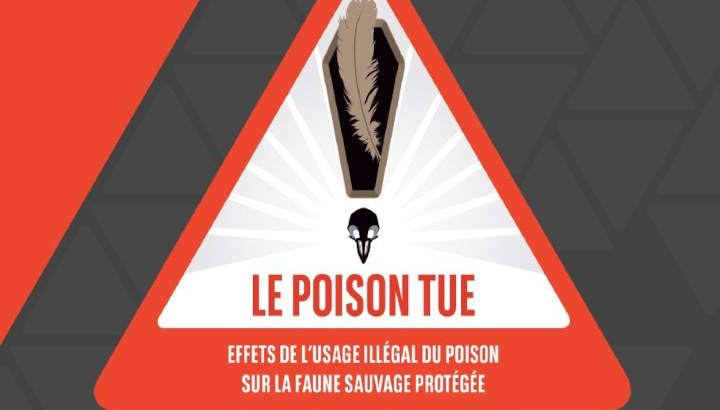 Poison, une arme silencieuse, un fléau pour les nécrophages