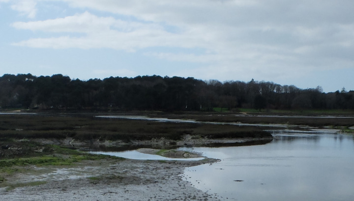 Parc Naturel Régional du Golfe du Morbihan : à la découverte des oiseaux du littoral...