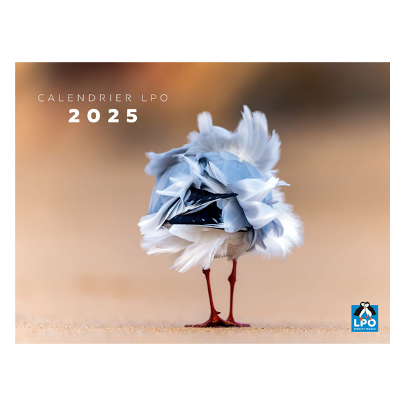 Calendrier LPO Oiseaux 2025