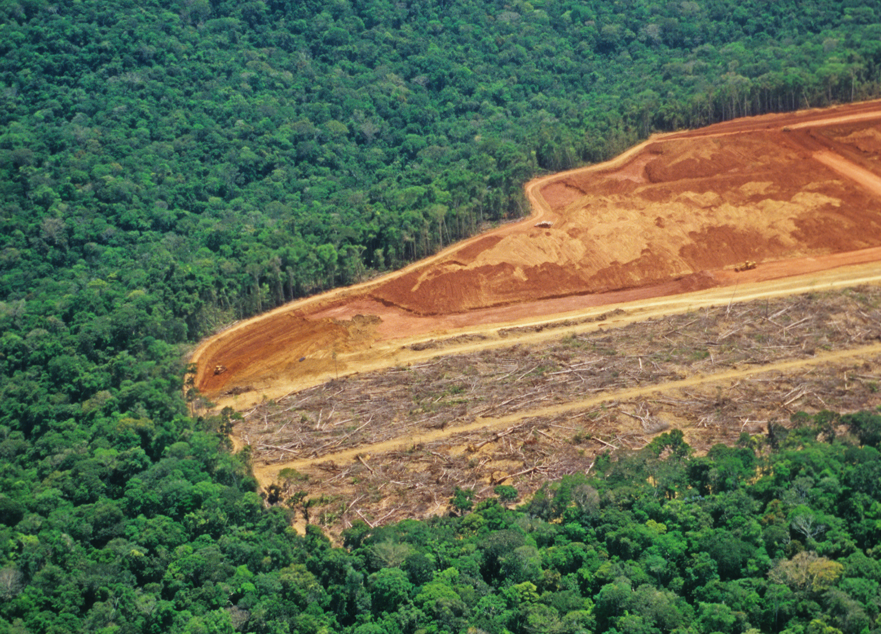 Traité UE-Mercosur : une menace pour la biodiversité mondiale