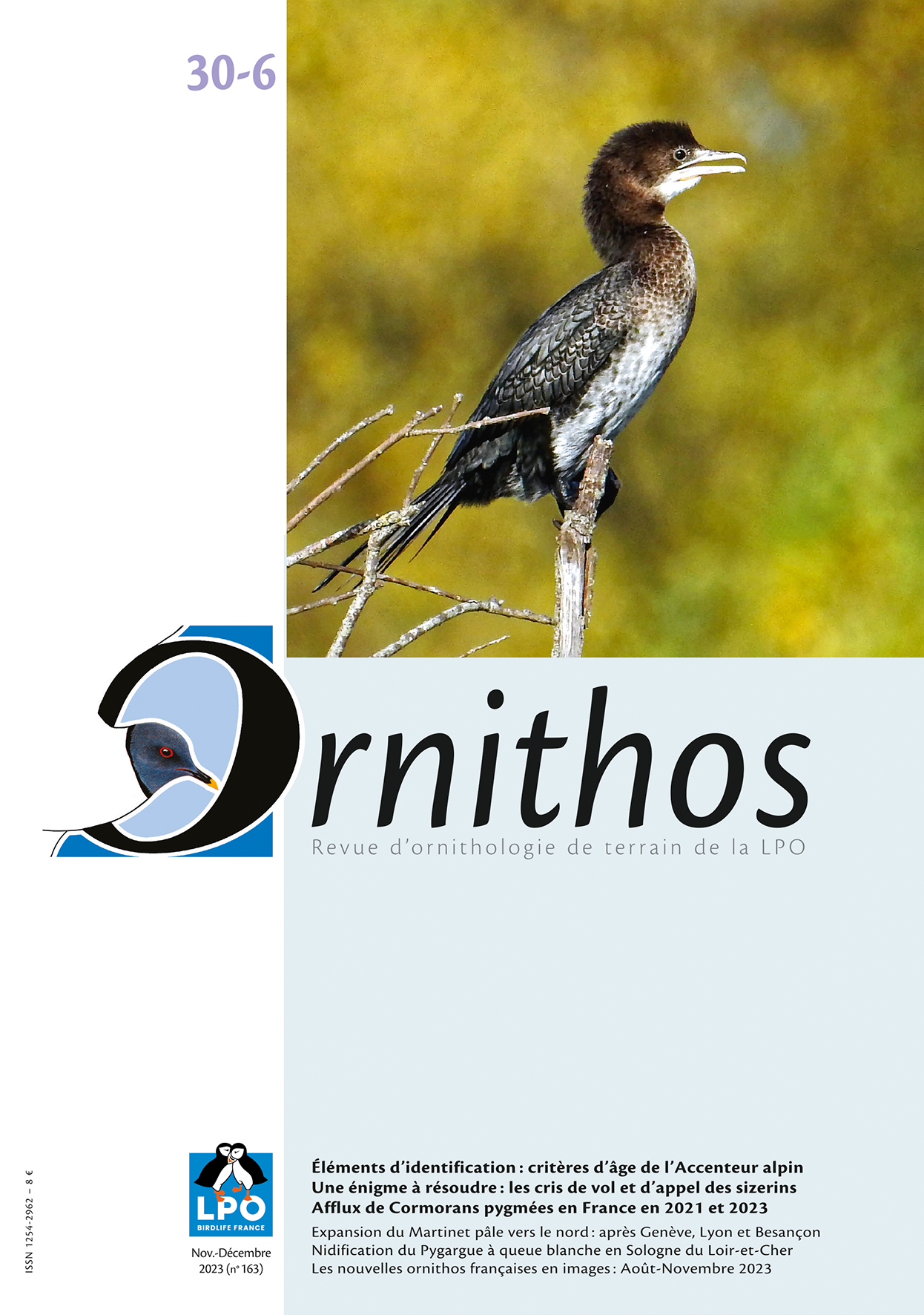 Sanglier d'Europe - LPO (Ligue pour la Protection des Oiseaux) - Agir pour  la biodiversité