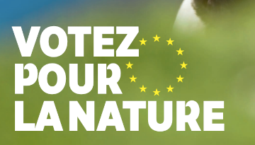 Elections européennes : nos 20 propositions pour la biodiversité