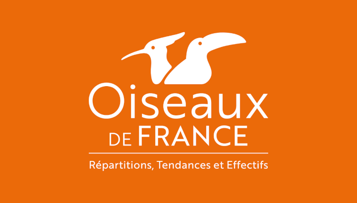 La plateforme Oiseaux de France enfin accessible sur mobile !