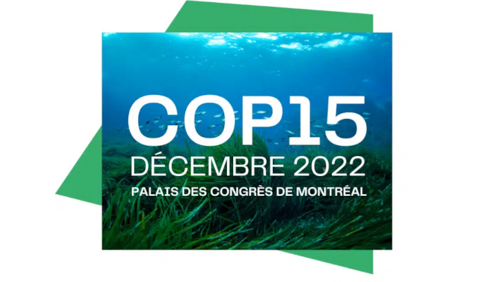 COP 15 : un accord a minima