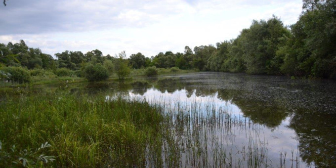 La LPO acquiert une zone humide dans la vallée de la Marne