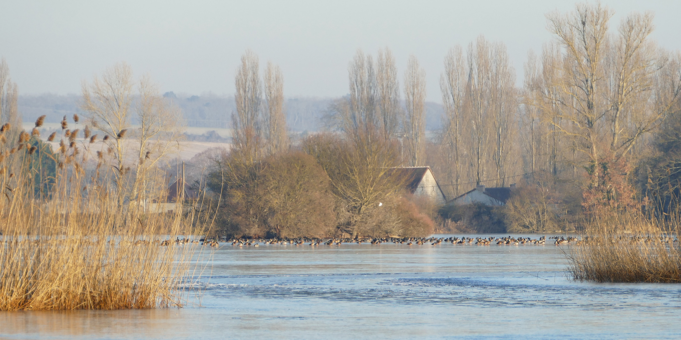 Etang d'AEtang d'Assay © Pierre Réveillaud