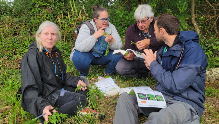 Les bénévoles "Bota" sur le Refuge LPO de Kervignac : 100 espèces de plantes inventoriées !