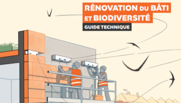 Un guide pour préserver la biodiversité lors des opérations de rénovation énergétique