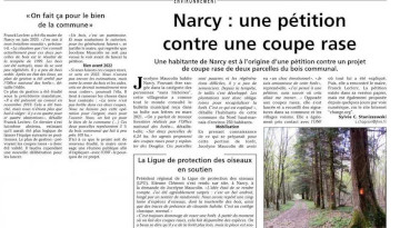 Non au projet de coupes rases à Narcy (Haute-Marne)