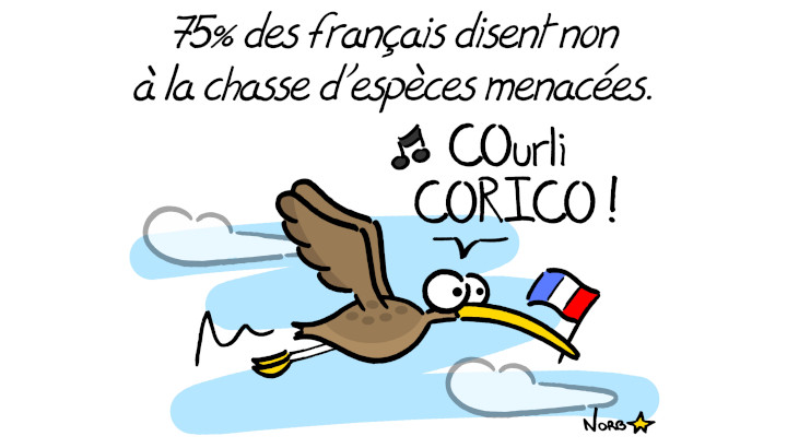 Présidentielles : l'ambition des Français en matière de protection de l'environnement