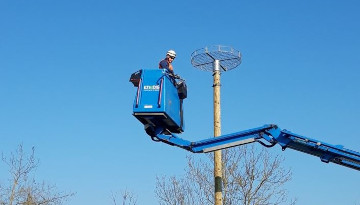 Déplacement d'un nid de cigognes blanches