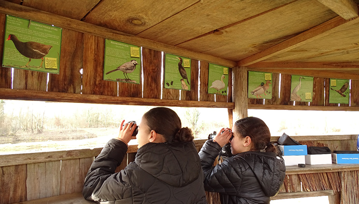 Aires Terrestres Éducatives : Installation de nichoirs en Dordogne !