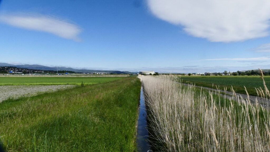 Une collaboration extrêmement positive entre la LPO AuRA et Terre de Liens : la Ferme de Sarliève