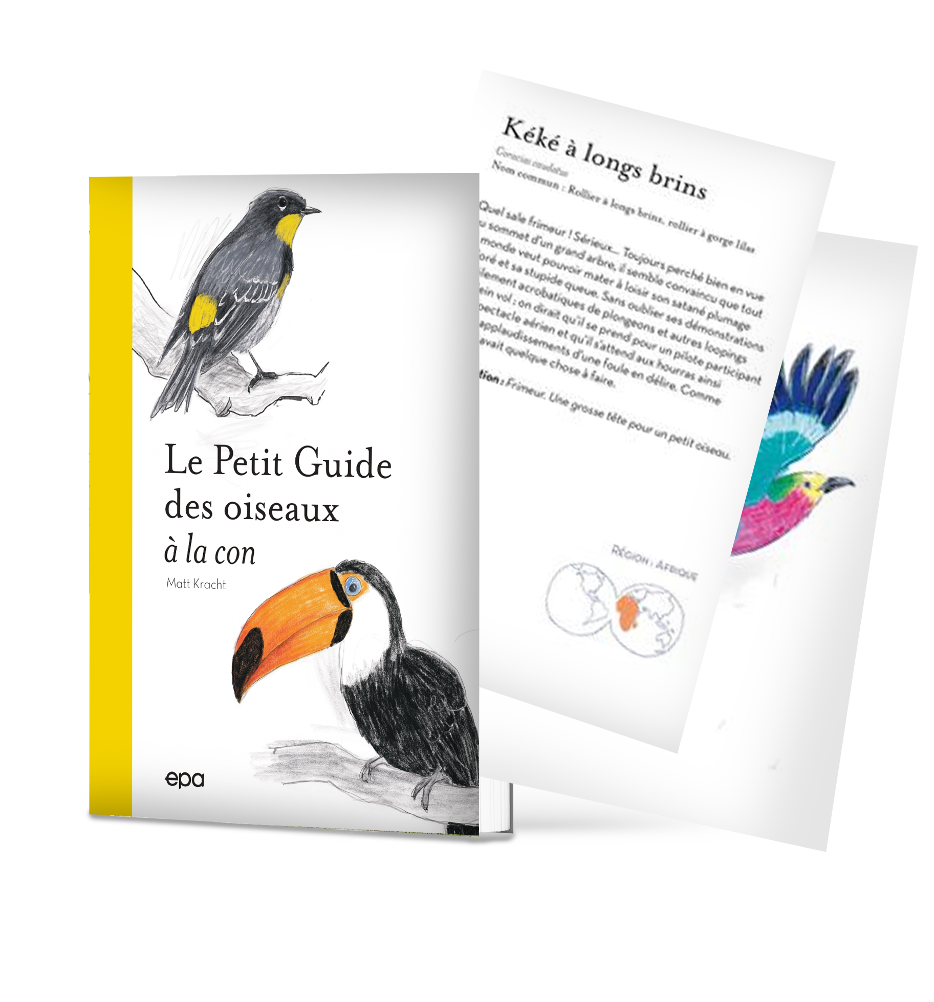 Grenouille rieuse - LPO (Ligue pour la Protection des Oiseaux) - Agir pour  la biodiversité