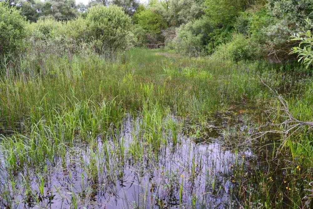 12 ha acquis pour la biodiversité