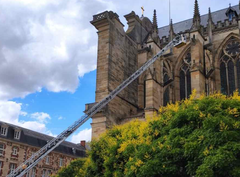 Les grands moyens pour libérer des Faucons crécerelles dans la cathédrale de Châlons-en-Champagne