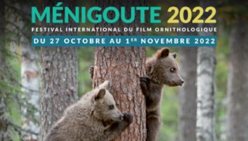 Bientôt le 38e Festival International du Film Ornithologique de Ménigoute (Deux-Sèvres)