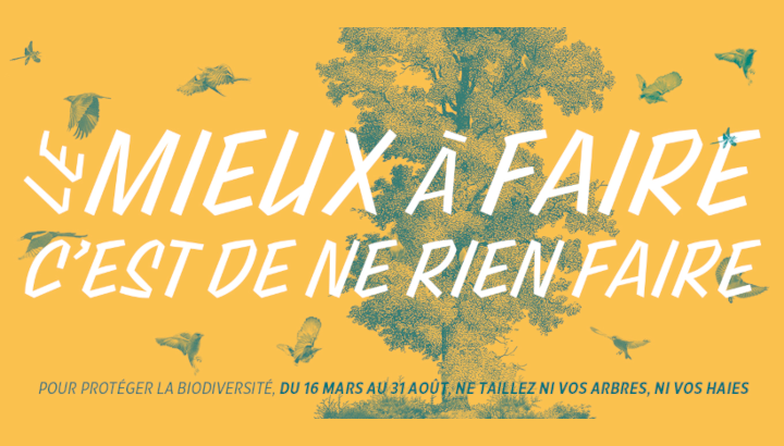 La nature se reproduit : le mieux à faire, c’est de ne rien faire !