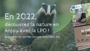 En 2022, découvrez la nature en Anjou avec la LPO !