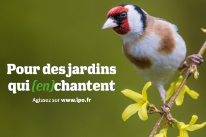 Pour des jardins qui enchantent