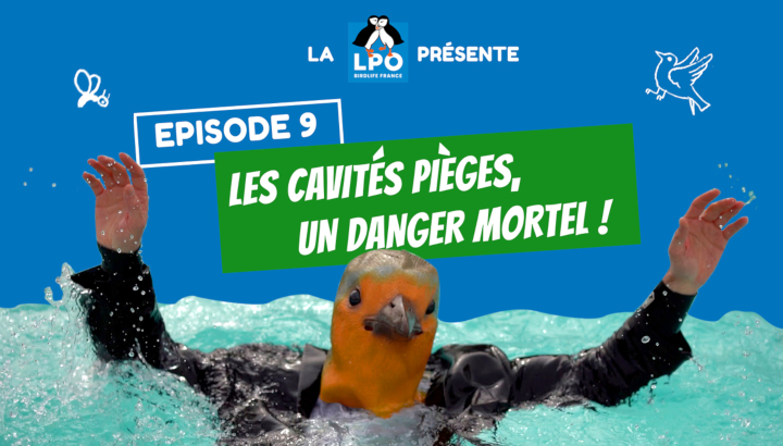 Les cavités pièges, un danger mortel !