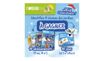 Tentez de gagner un an d'abonnement à L'Oiseau Mag Junior