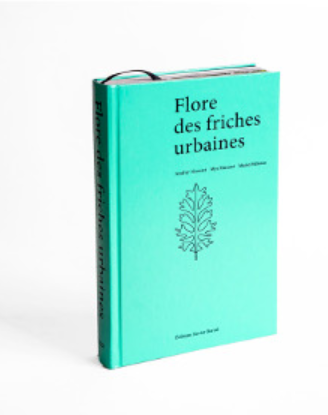 Flore des friches urbaines