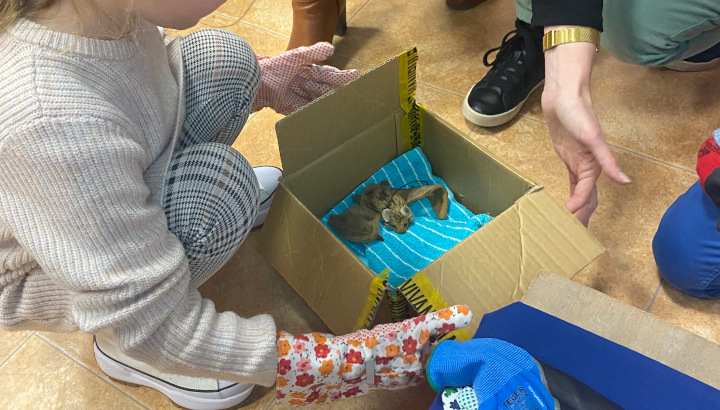 Les premiers petits sauveteurs de la faune sauvage de l'année !