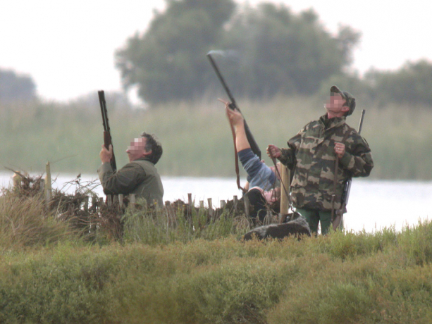 8 Français sur 10 réclament le dimanche sans chasse