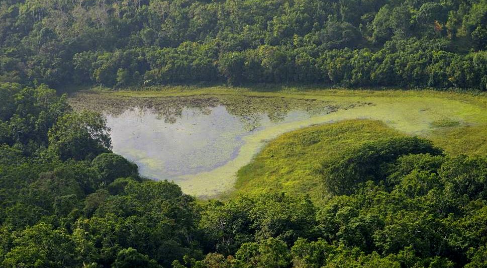 Le GEPOMAY devient gestionnaire de deux sites naturels à Mayotte