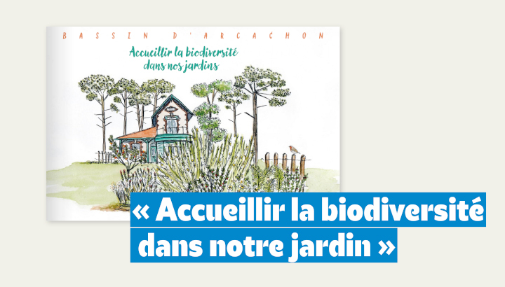 Un guide pour accueillir la biodiversité dans les jardins du Bassin d'Arcachon