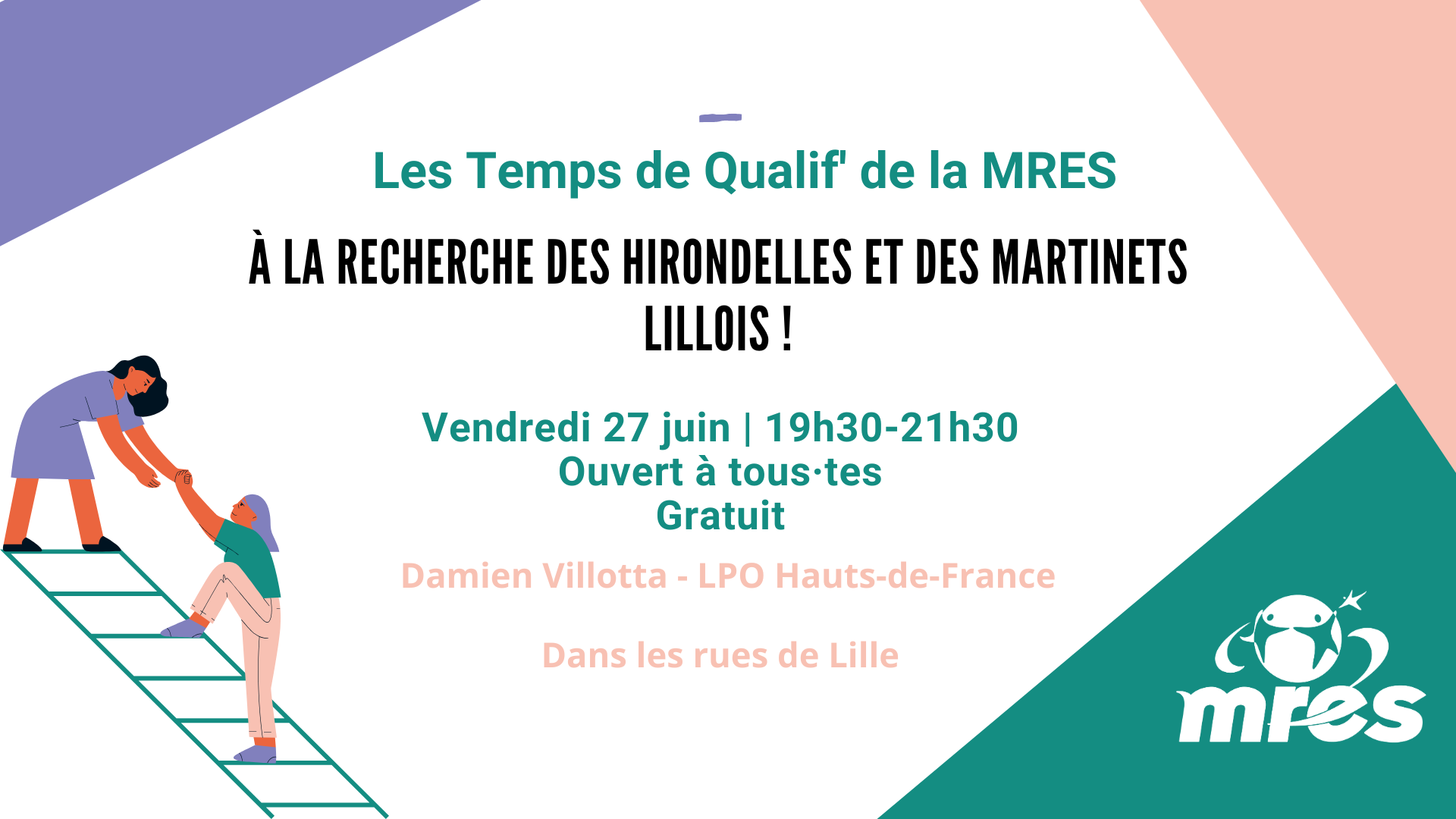 À la recherche des Hirondelles et des Martinets lillois