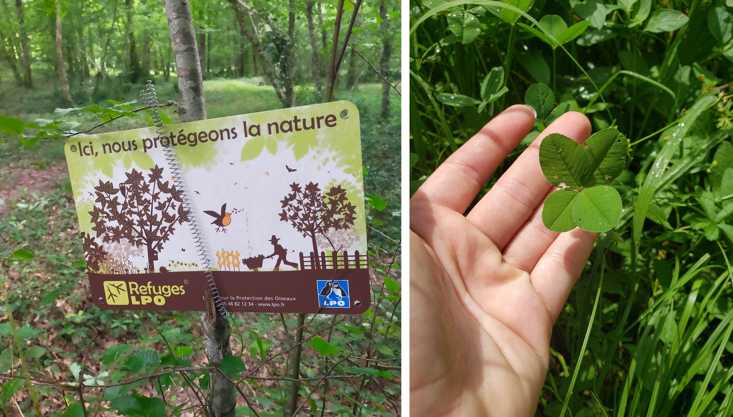 Journées Refuges LPO Particuliers en Dordogne