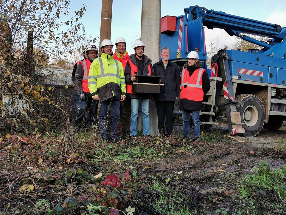 Un nichoir pour le petit Faucon crécerelle