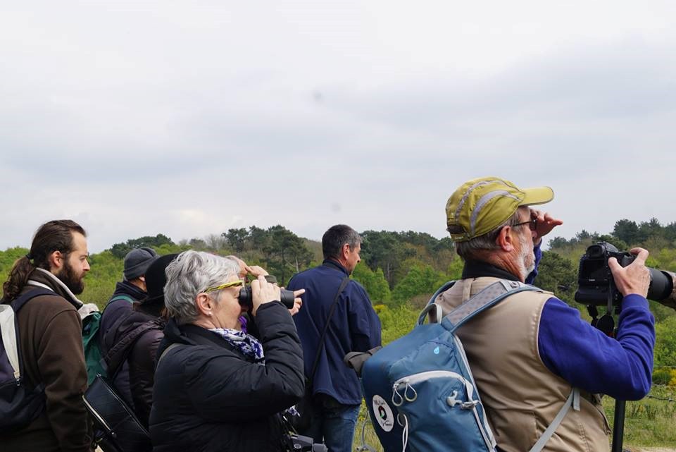 Lancement de l’école d’ornithologie dans le Pas-de-Calais