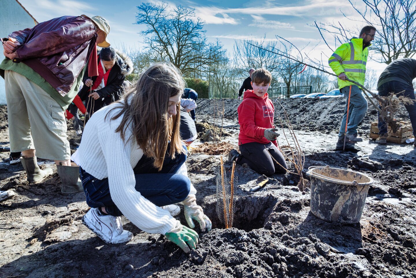 Photo de la première plantation en mars 2024