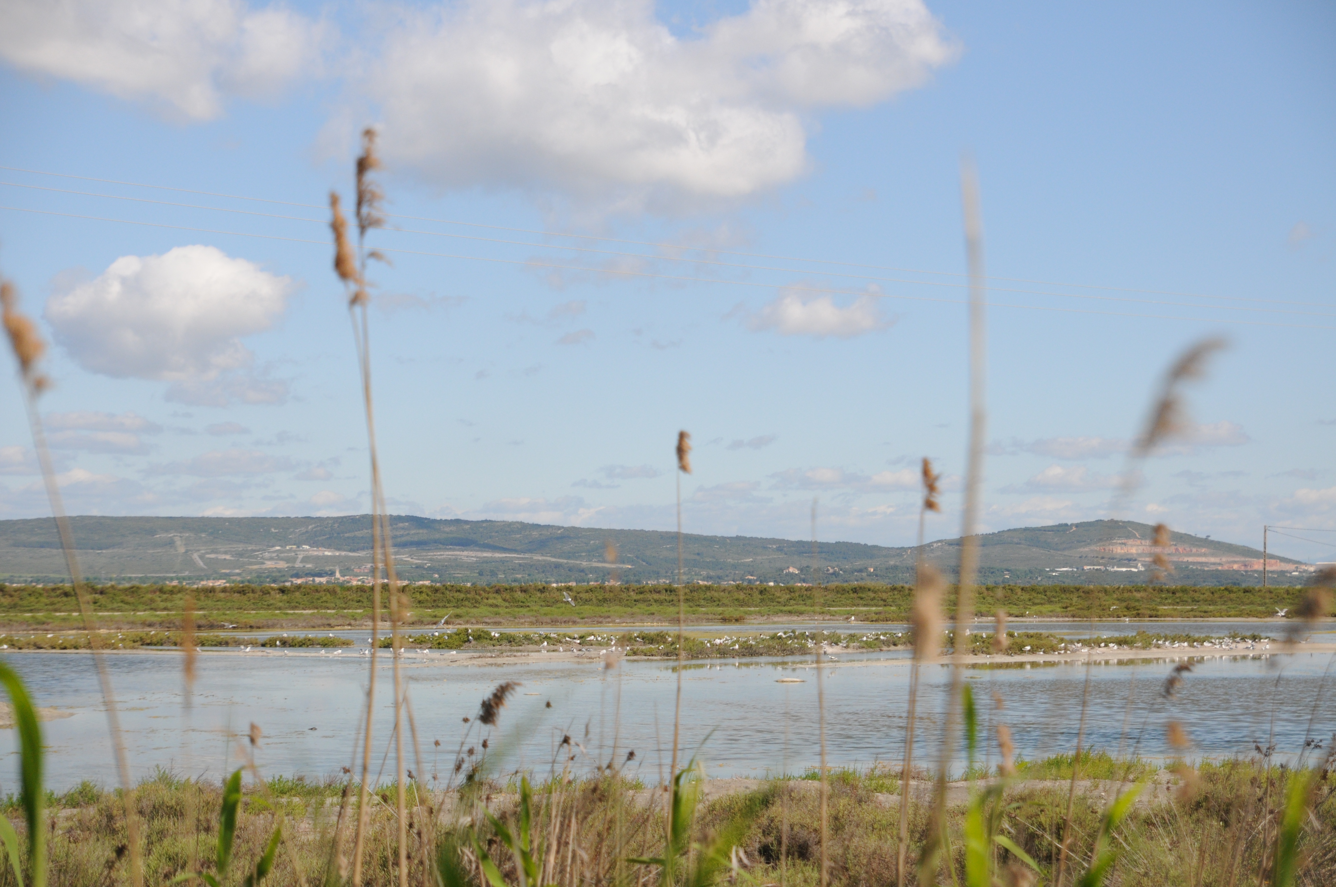 Salines de Villeneuve-lès-Maguelonne