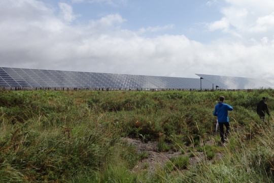 Loi sur l’accélération des énergies renouvelables : des avancées encore trop timides pour la biodiversité