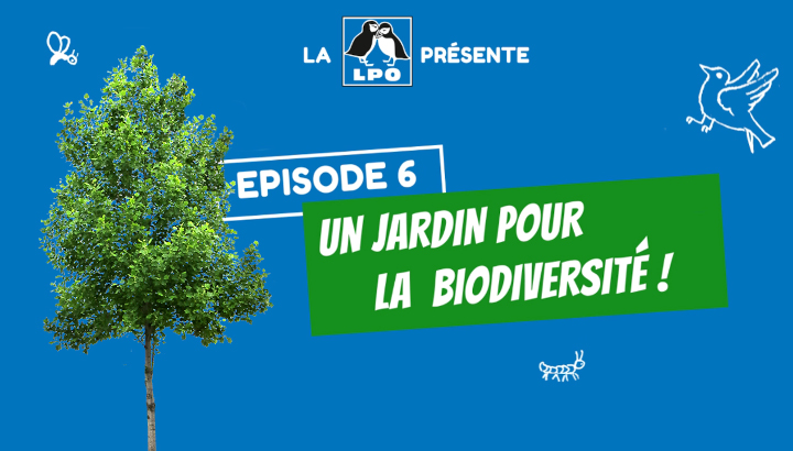 Un jardin pour la biodiversité !