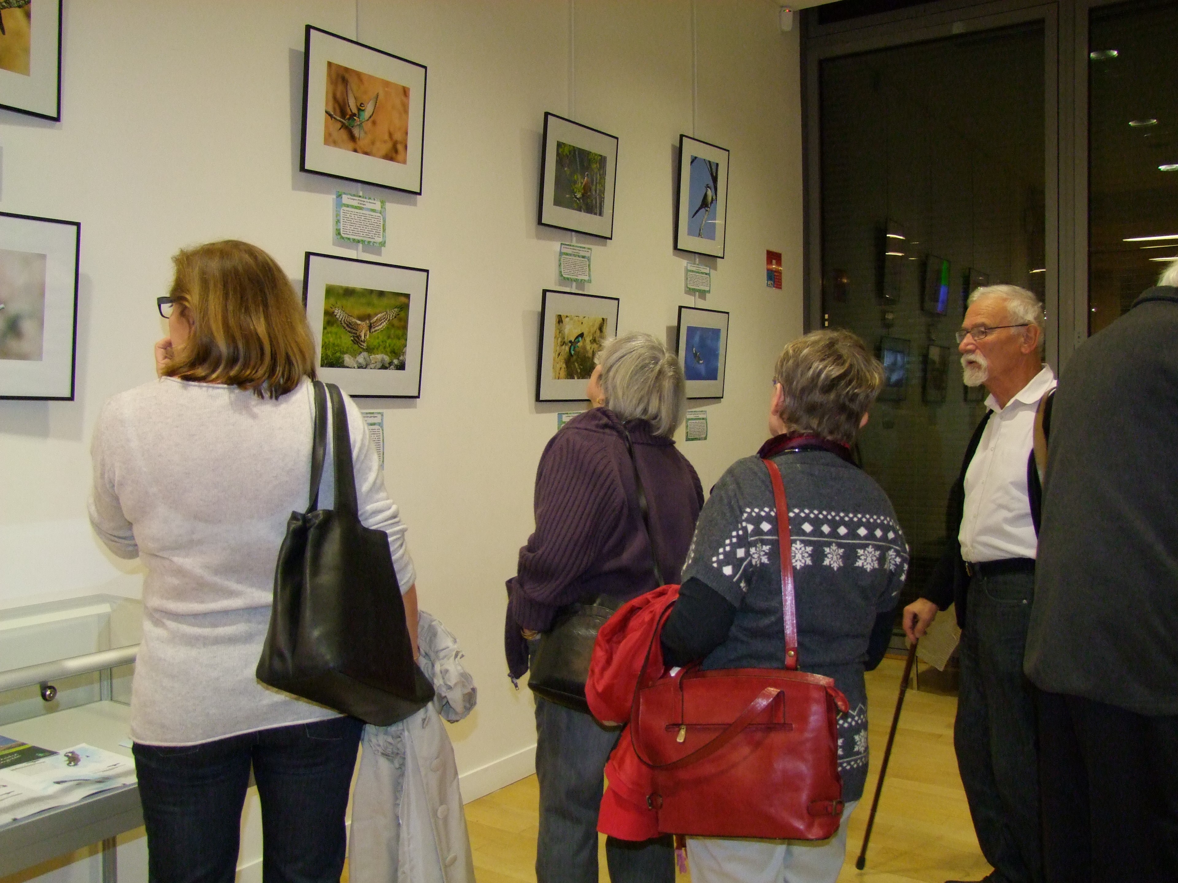 Expo quatre vautours