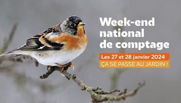 Participez au comptage des oiseaux des jardins en région Occitanie et Pays catalan